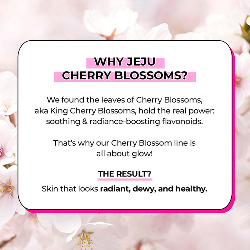 Jeju Cherry Blossom Jelly Cream
