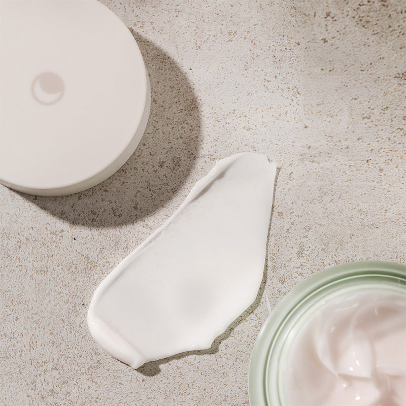 Phyto Plump Collagen Night Cream